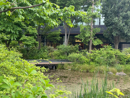 Tachikawa: Why It’s the Perfect Secret Slow-Travel Hub for Families